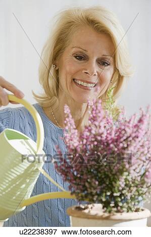 Stock Photo - Senior woman watering plant. Fotosearch