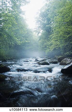 Smoky Mountain National Park USA View Large Photo Image Stock Image - Smoky Mountain National Park USA. Fotosearch