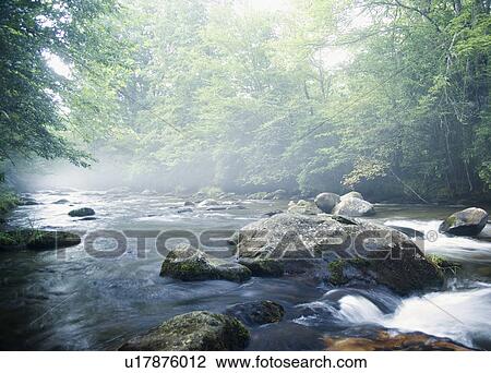 Stock Image - Smoky Mountain National Park USA. Fotosearch