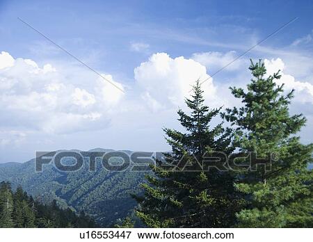 Stock Photo - Smoky Mountain National Park USA. Fotosearch