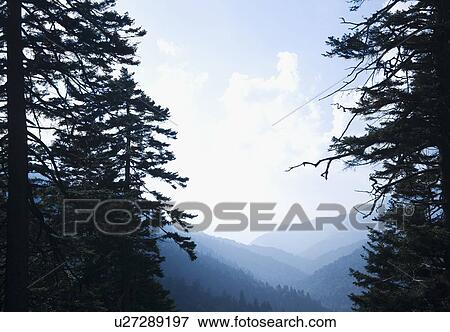 Stock Photo - Smoky Mountain National Park USA. Fotosearch