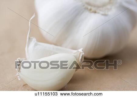 Stock Image - Still life of a clove of garlic. Fotosearch