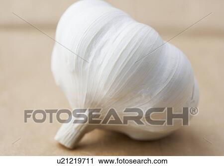 Stock Image - Still life of a head of garlic. Fotosearch