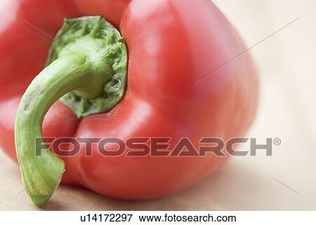 Still life of a red pepper View Large Photo Image Stock Photo - Still life of a red pepper. Fotosearch