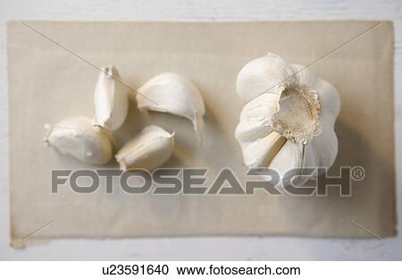 Stock Image - Still life of garlic. Fotosearch