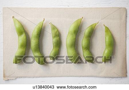Still life of soy beans View Large Photo Image Stock Image - Still life of soy beans. Fotosearch