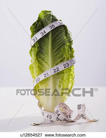 Stock Photo - Tape measure wrapped around lettuce leaf. Fotosearch