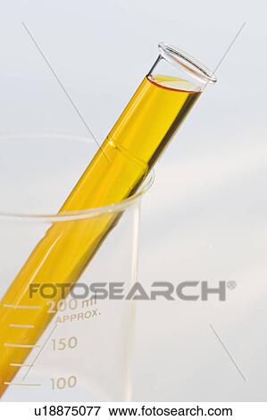 Vial of liquid in beaker View Large Photo Image Stock Photo - Vial of liquid in beaker. Fotosearch