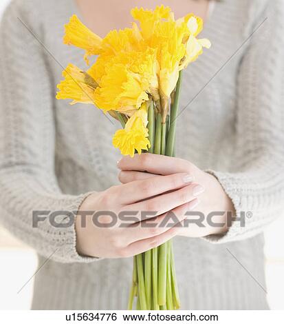 Stock Photograph - Woman holding bunch of daffodils. Fotosearch
