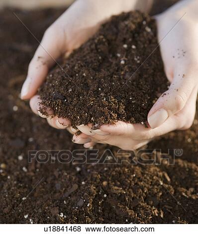 Stock Photo - Woman holding handful of soil. Fotosearch