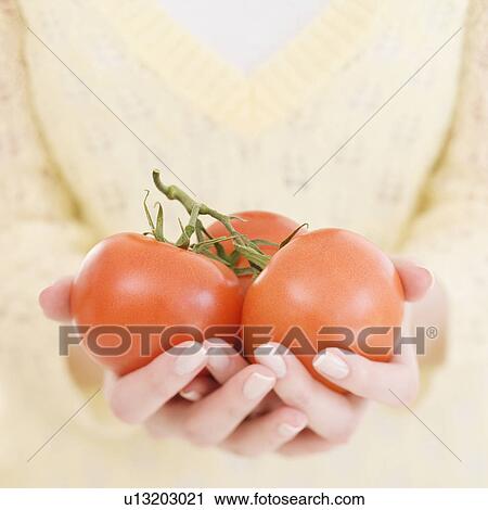 Woman holding tomatoes View Large Photo Image Stock Image - Woman holding tomatoes. Fotosearch