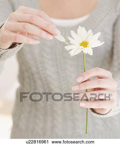 Stock Image - Woman pulling petal off flower. Fotosearch