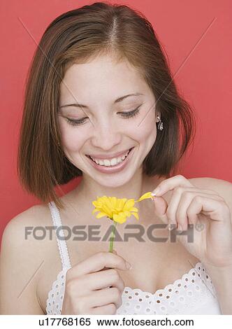 Woman pulling petals off flowers View Large Photo Image Stock Photography - Woman pulling petals off flowers. Fotosearch