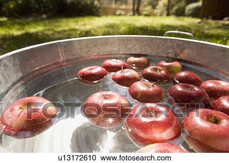 Stock Image - Apples in bucket of water. Fotosearch