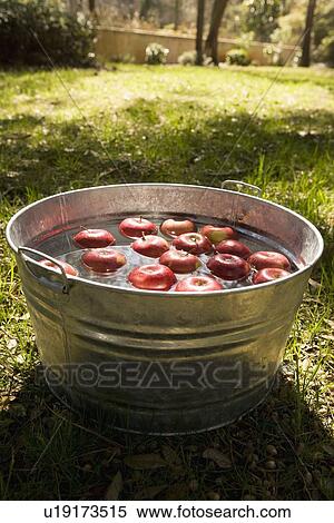 Stock Photography - Apples in bucket of water. Fotosearch