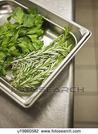 Stock Image - Assorted herbs in tray. Fotosearch