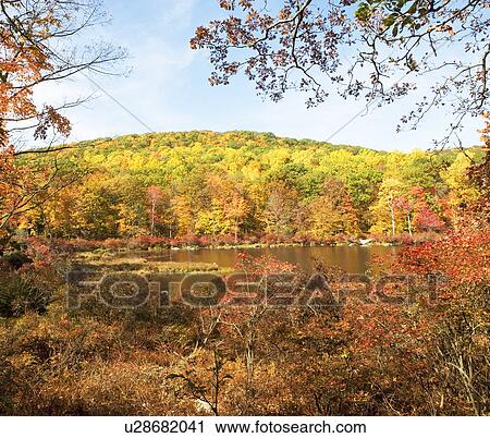 Stock Image - Autumn foliage, Bear Mountain, New York. Fotosearch
