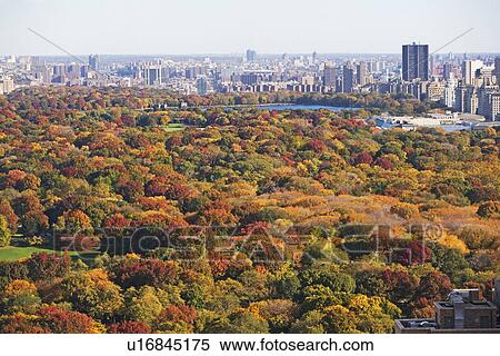 Autumn foliage, Central Park, New York City View Large Photo Image Stock Photography - Autumn foliage, Central Park, New York City. Fotosearch