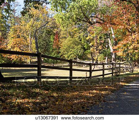 Stock Image - Autumn leaves in countryside. Fotosearch