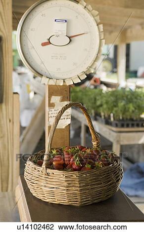 Stock Image - Basket of fresh strawberries on scale. Fotosearch