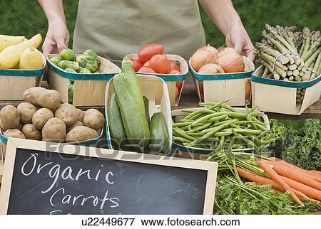 Stock Photo - Baskets of organic vegetables. Fotosearch
