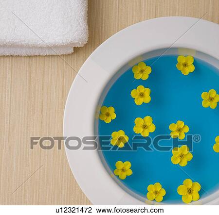 Bowl of water and fresh flowers at spa View Large Photo Image Stock Image - Bowl of water and fresh flowers at spa. Fotosearch