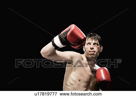 Boxer in fighting stance View Large Photo Image Stock Photo - Boxer in fighting stance. Fotosearch