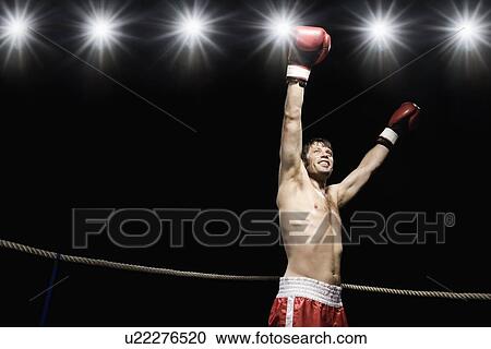 Boxer standing in boxing ring with gloves raised View Large Photo Image Stock Image - Boxer standing in boxing ring with gloves raised. Fotosearch