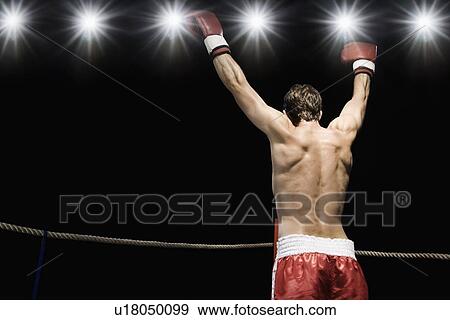 Stock Photo - Boxer standing in boxing ring with gloves raised. Fotosearch