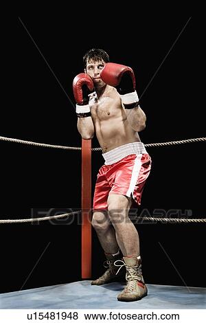 Stock Photo - Boxer standing in fighting stance in boxing ring. Fotosearch