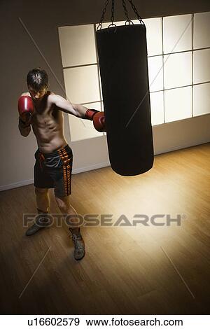 Boxer training with punching bag View Large Photo Image Stock Photo - Boxer training with punching bag. Fotosearch