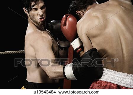 Boxers fighting in boxing ring View Large Photo Image Picture - Boxers fighting in boxing ring. Fotosearch