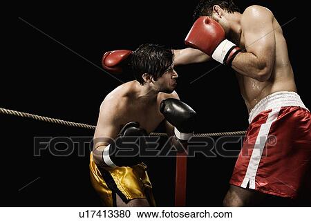 Boxers fighting in boxing ring View Large Photo Image Stock Image - Boxers fighting in boxing ring. Fotosearch