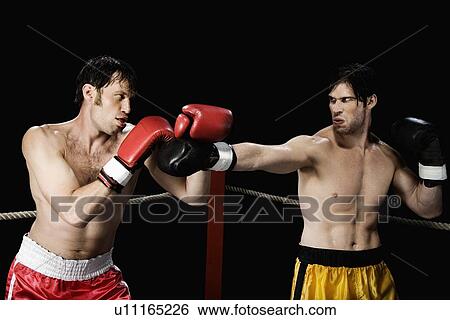 Stock Photograph - Boxers fighting in boxing ring. Fotosearch