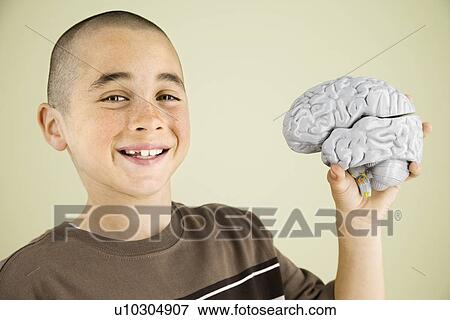 Boy holding human brain model View Large Photo Image Stock Photo - Boy holding human brain model. Fotosearch
