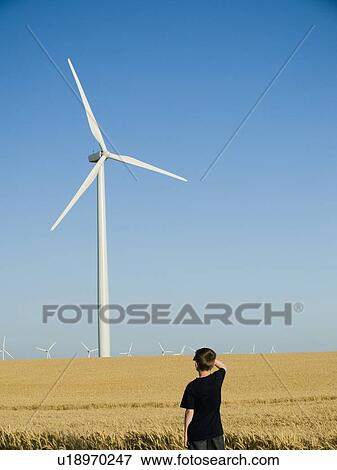 Stock Photo - Boy looking at windmill on wind farm. Fotosearch