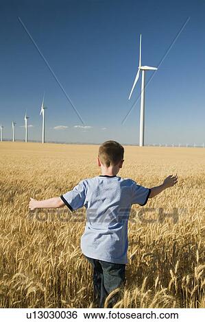 Stock Photograph - By running through field on wind farm. Fotosearch