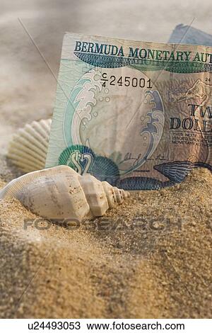 Stock Image - Close up of Bermuda currency in sand with seashells. Fotosearch