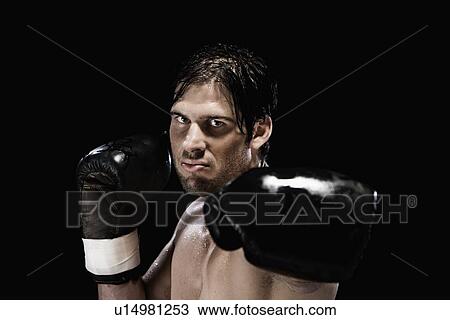 Close up of boxer in fighting stance View Large Photo Image Stock Image - Close up of boxer in fighting stance. Fotosearch