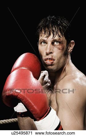 Close up of boxer in fighting stance View Large Photo Image Stock Image - Close up of boxer in fighting stance. Fotosearch