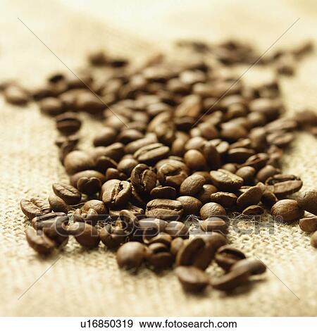 Close up of coffee beans View Large Photo Image Stock Photo - Close up of coffee beans. Fotosearch