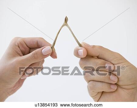 Close up of couple pulling wishbone View Large Photo Image Stock Image - Close up of couple pulling wishbone. Fotosearch