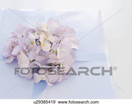 Close up of gift View Large Photo Image Stock Photo - Close up of gift. Fotosearch