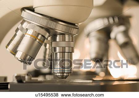 Close up of microscopes View Large Photo Image Stock Photo - Close up of microscopes. Fotosearch