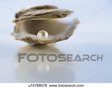 Stock Photo - Close up of pearl in oyster shell. Fotosearch