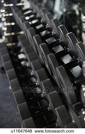 Close up of rows of free weights View Large Photo Image Stock Photo - Close up of rows of free weights. Fotosearch