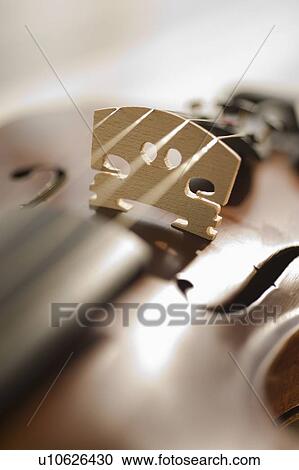 Close up of violin strings View Large Photo Image Stock Image - Close up of violin strings. Fotosearch