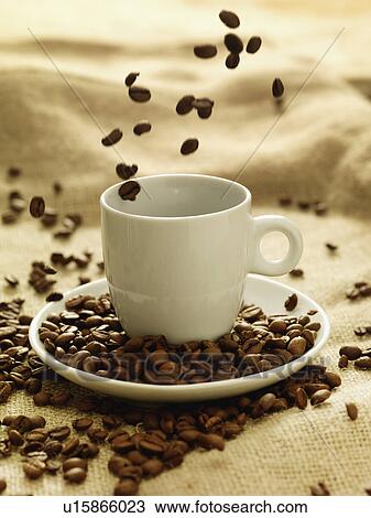 Coffee beans raining down on mug View Large Photo Image Stock Image - Coffee beans raining down on mug. Fotosearch