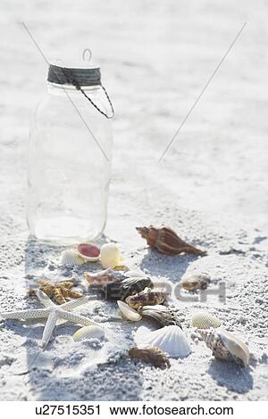 Stock Image - Collection of starfish and shells. Fotosearch