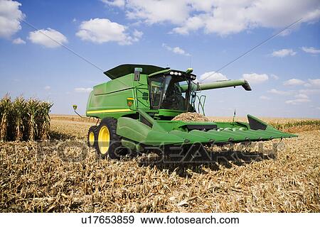 Stock Photo - Combine harvesting in corn field. Fotosearch